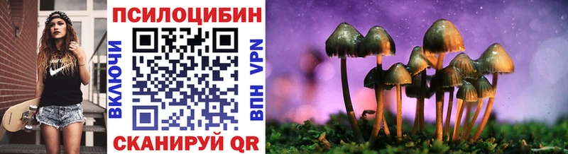 Псилоцибиновые грибы мицелий  Пыталово 